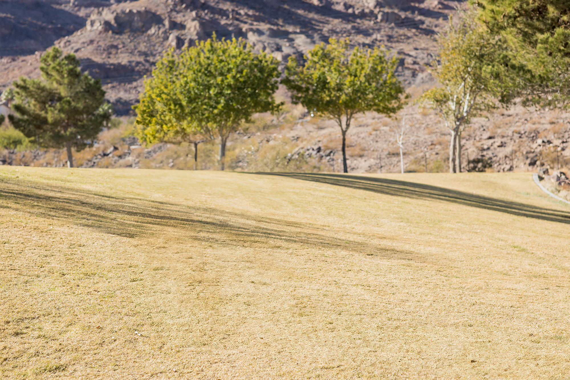 henderson-las-vegas-family-photographer.jpg