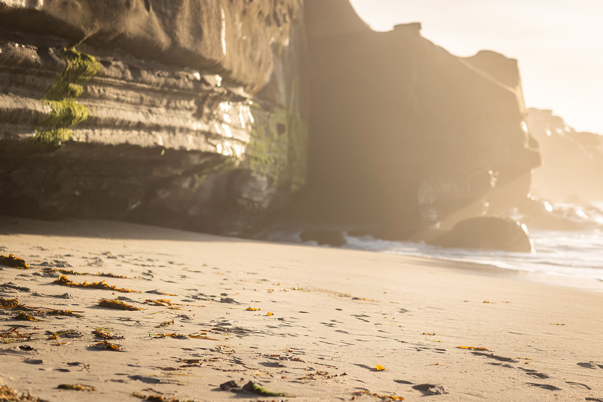 la-jolla-san-diego-family-photographer.jpg