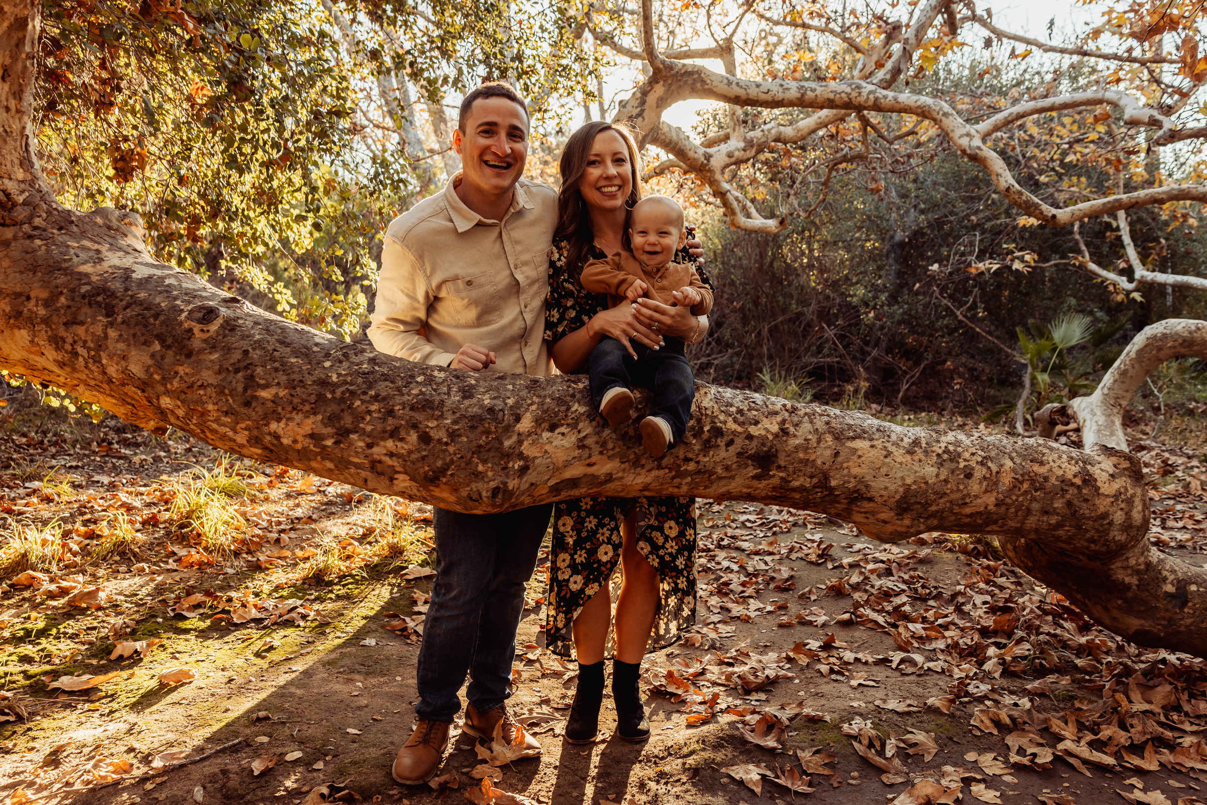 Family of three standing behind a fallen coast live oak in Los Penasquitos Canyon, San Diego