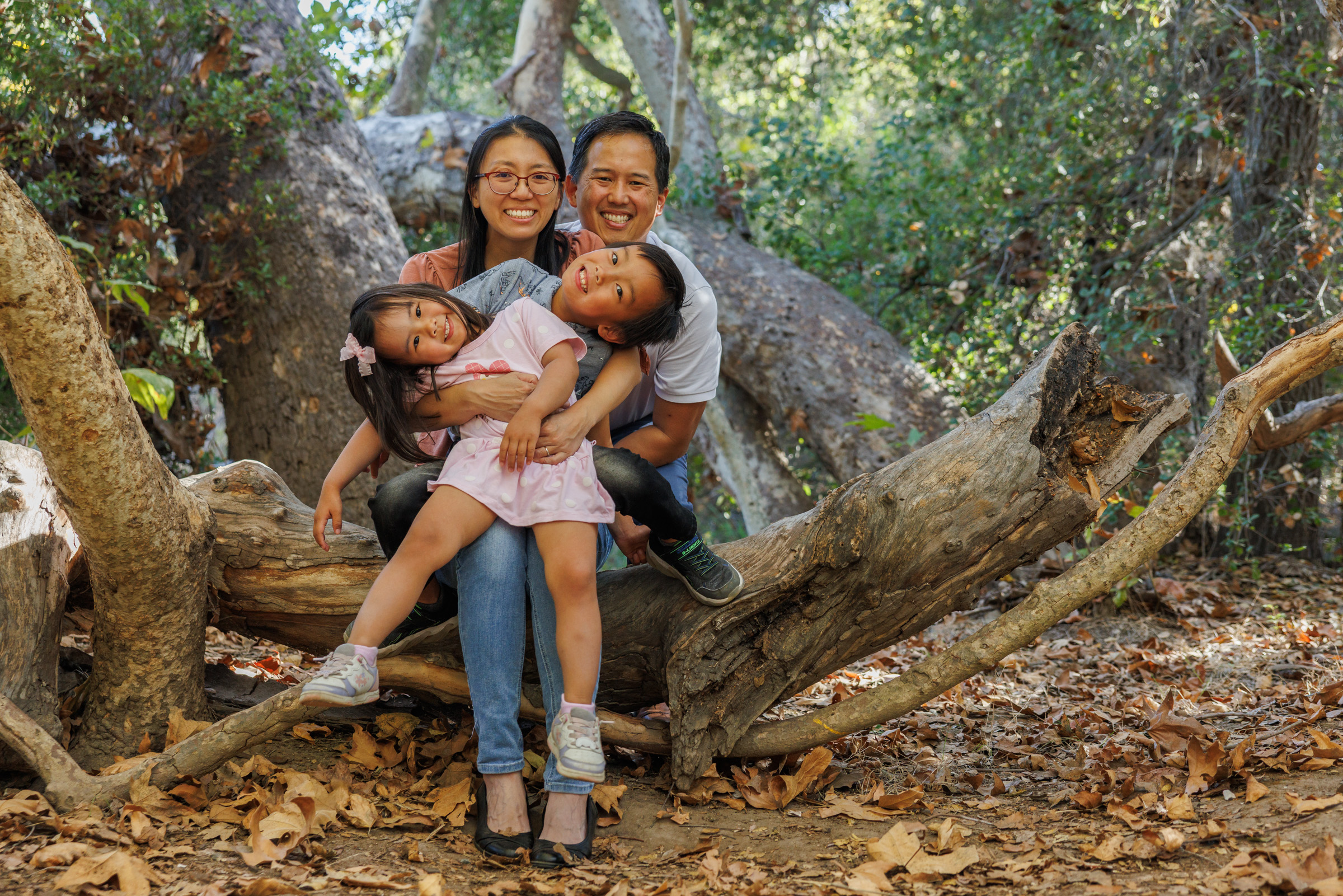 Family gathered in the low limbs of a coast live oak in Los Penasquitos Canyon, San Diego