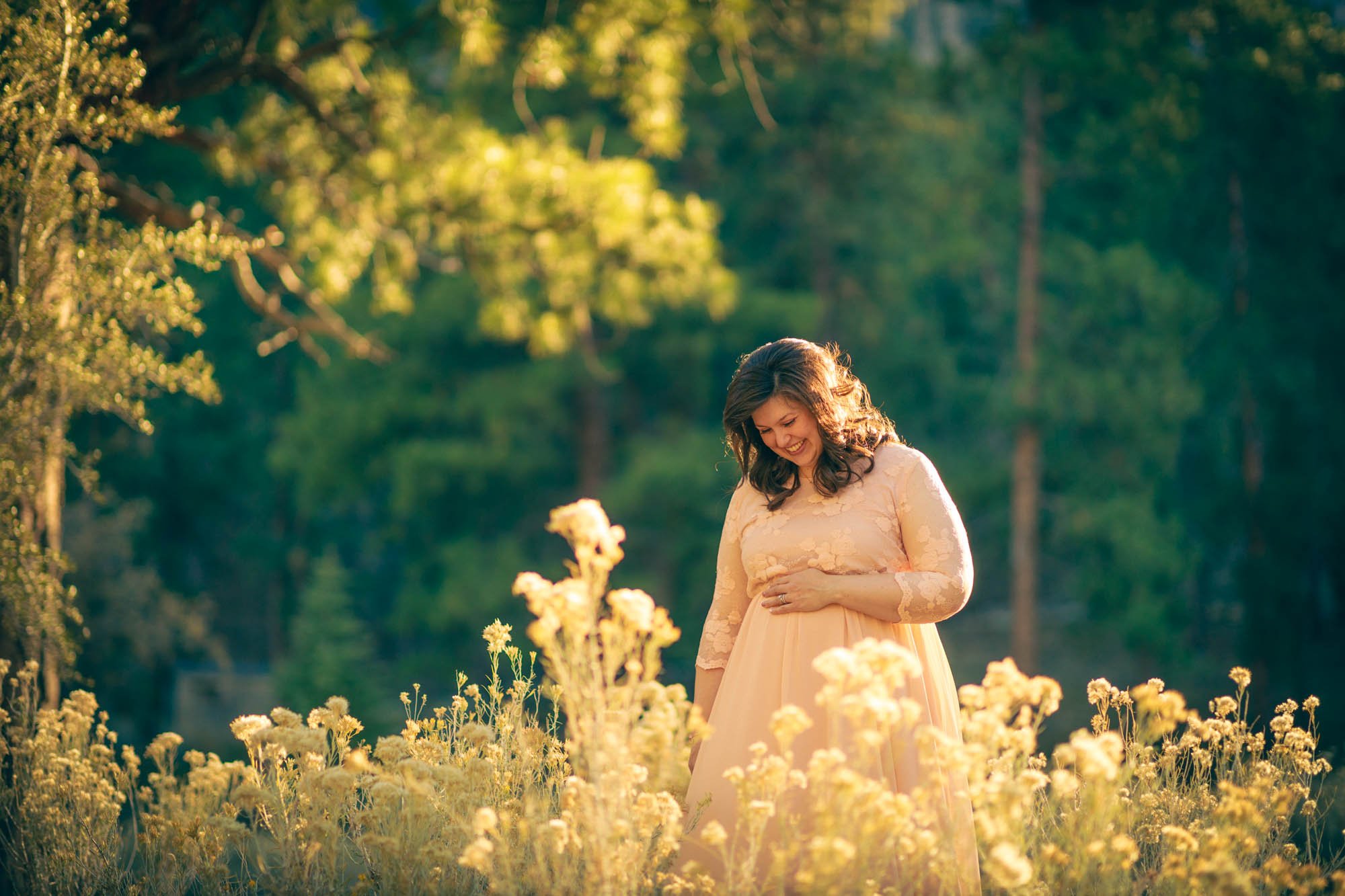 Las Vegas maternity photographer, portrait among wildflowers